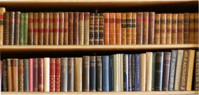 Pure Jake Bookcase